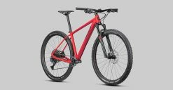 Radon Jealous AL 9.0 -Vélos Soldes 2022 JEALOUS AL 9 0 detail05