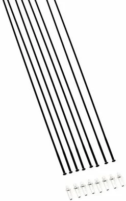 Dt-swiss H 1700 SPLINE® 30 29" Kit De Rayons