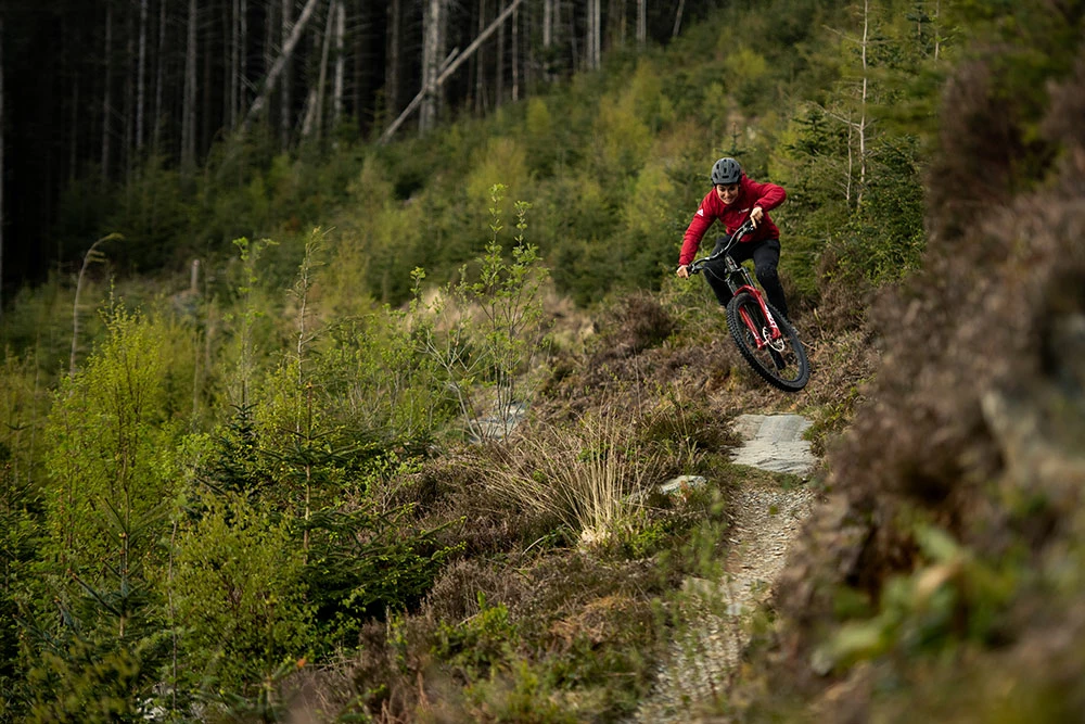 Santa Cruz Bronson C S 2 Santa Cruz Bronson C S – Image 2