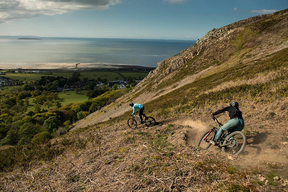 Santa Cruz Bronson C S 5 Santa Cruz Bronson C S – Image 5