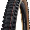 Schwalbe Big Betty Evo Super Trail 29x2,40" Addix Soft E-50 Pneus Pliants