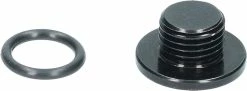 Shimano Vis De Purge Avec Bague D'étanchéité Pour ST-R9120